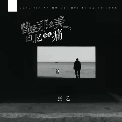 曾经那么美回忆那么痛's cover