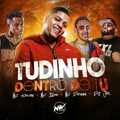 Tudinho Dentro de Tu By DJ JR Oficial, MC Igão, MC Kalzin, MC Dennin's cover