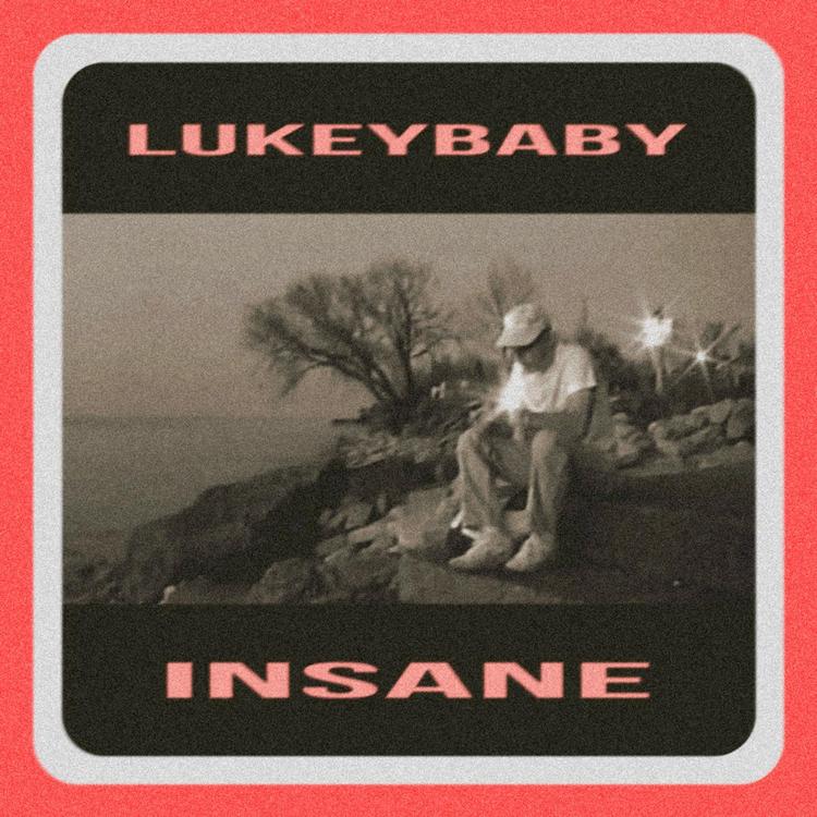 LukeyBaby's avatar image