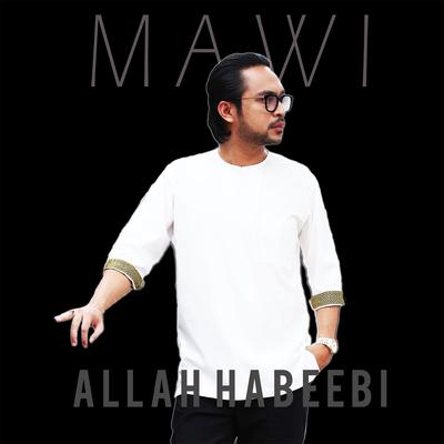 Allah Habeebi's cover