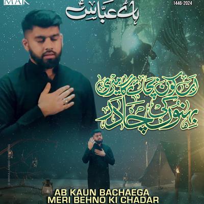 Haye Abbas's cover