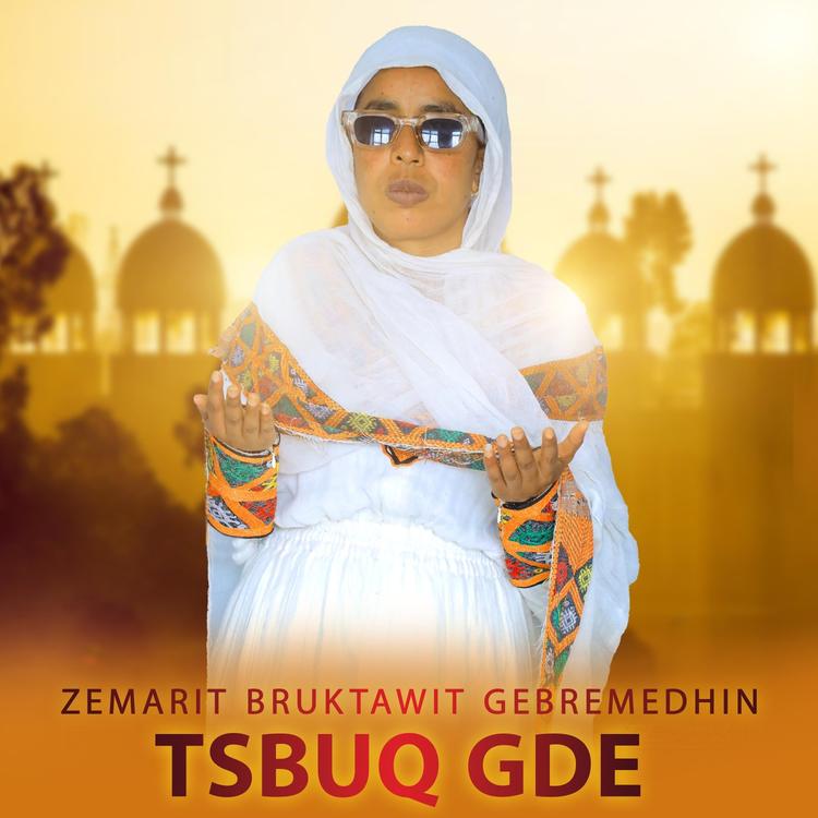 Zemarit Bruktawit Gebremedhin's avatar image