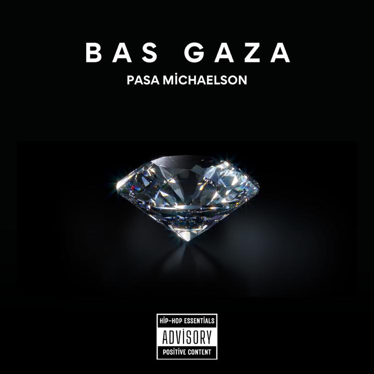 pasa michaelson's avatar image