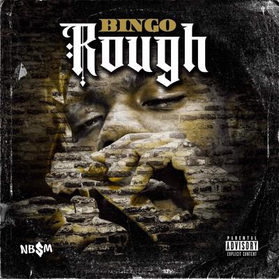 DANGER ZONE By Bingo's cover