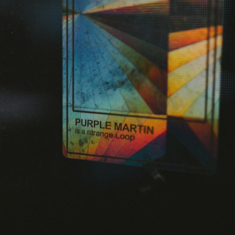 purple martin's avatar image
