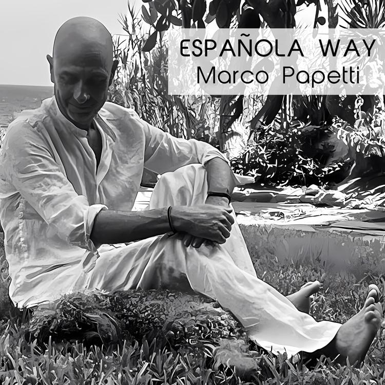 Marco Papetti's avatar image