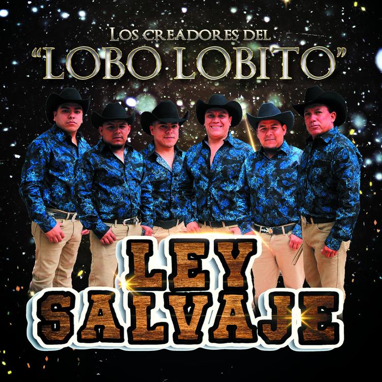 Ley Salvaje's avatar image