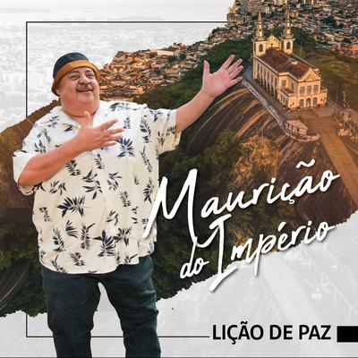 Juro Que Eu Não Quis Te Magoar By Maurição do Império's cover