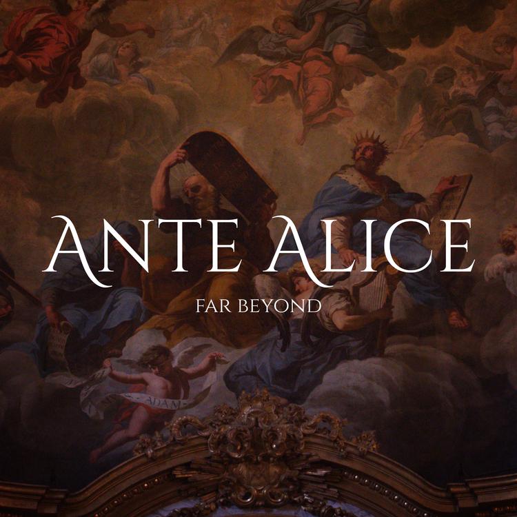 Ante Alice's avatar image