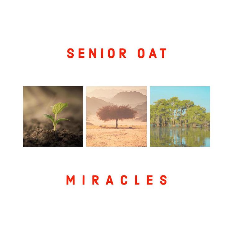 Senior Oat's avatar image