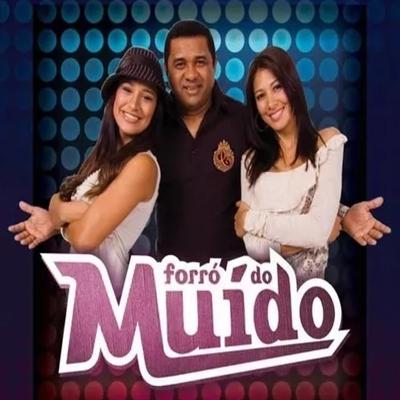 Forró Do Muído, Vol.5 (Ao Vivo)'s cover