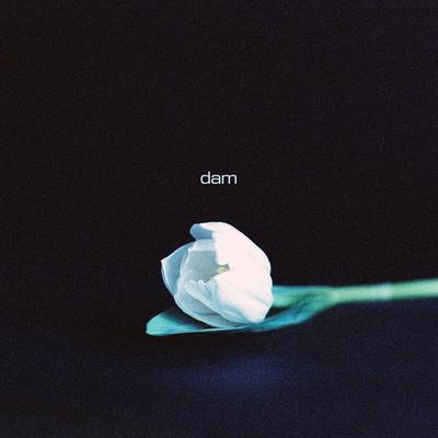 Dam's cover