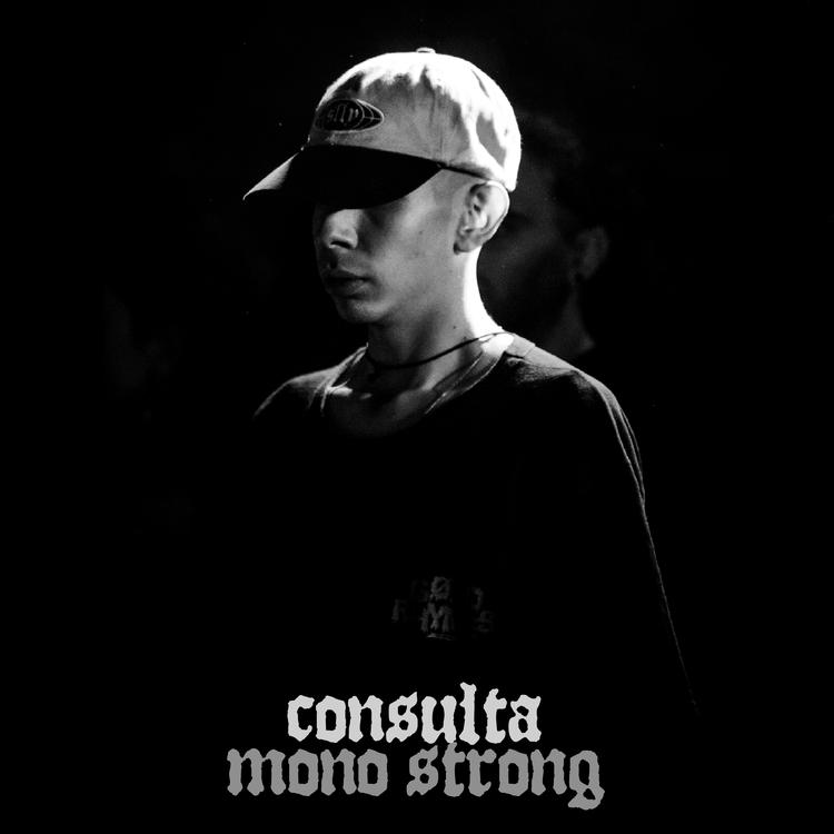 Mono Strong's avatar image