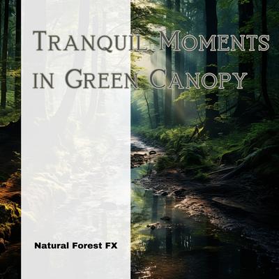 Back to Water By Natural Forest FX, The Forest Escape, Forest Sounds's cover