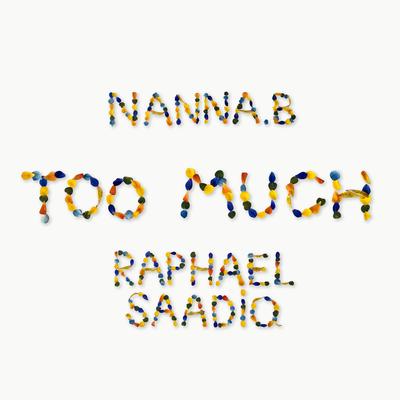 Too Much's cover