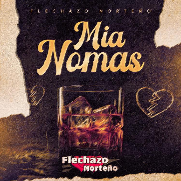 Flechazo Norteño's avatar image