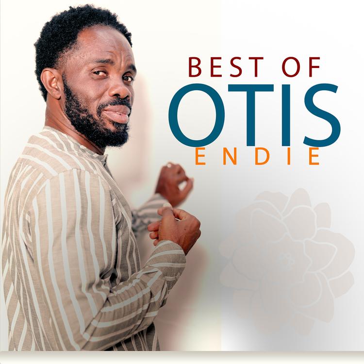 Otis Endie's avatar image