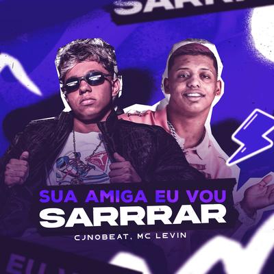 Sua Amiga eu Vou Sarrar (Arrochadeira Remix)'s cover