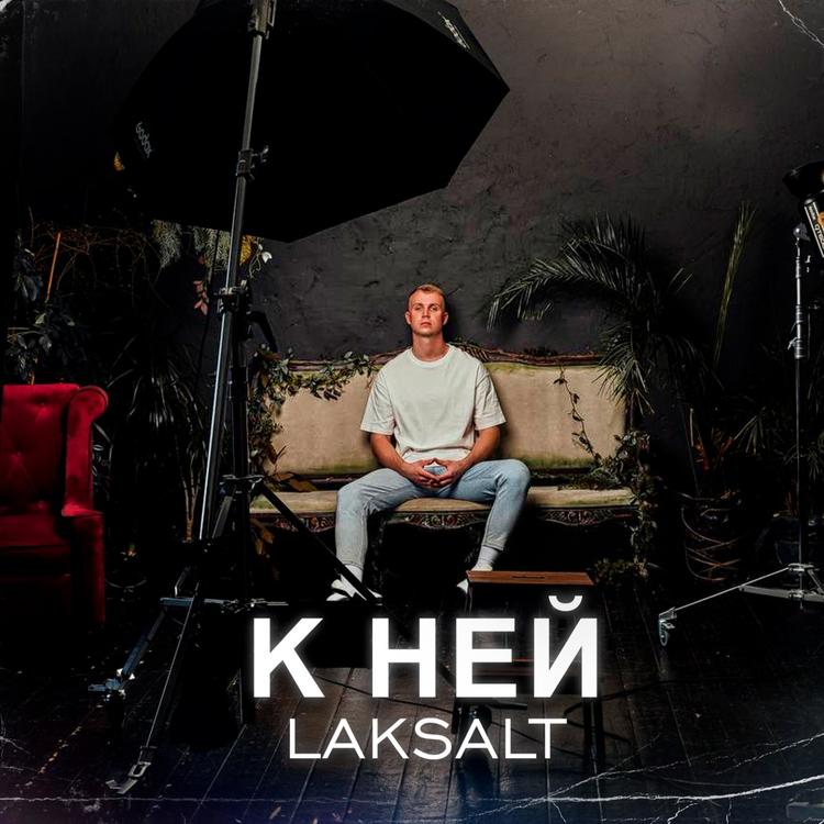 LAKSALT's avatar image