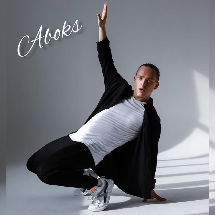 Aboks's avatar image