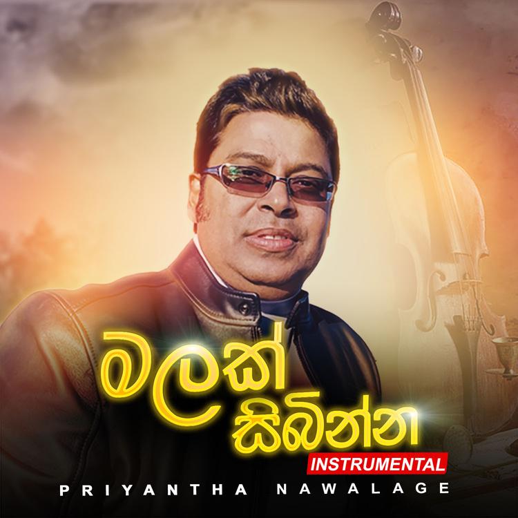 Priyantha Nawalage's avatar image