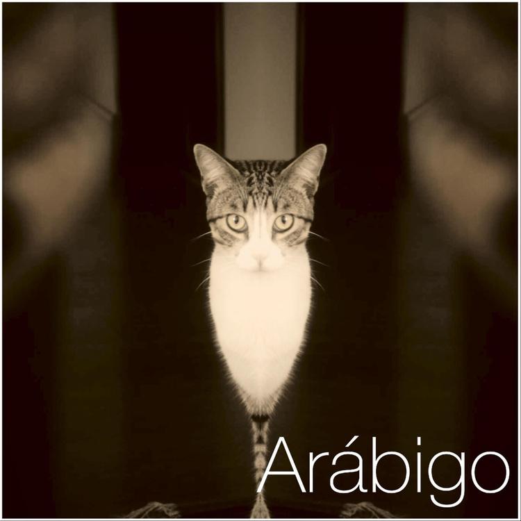 Arábigo's avatar image