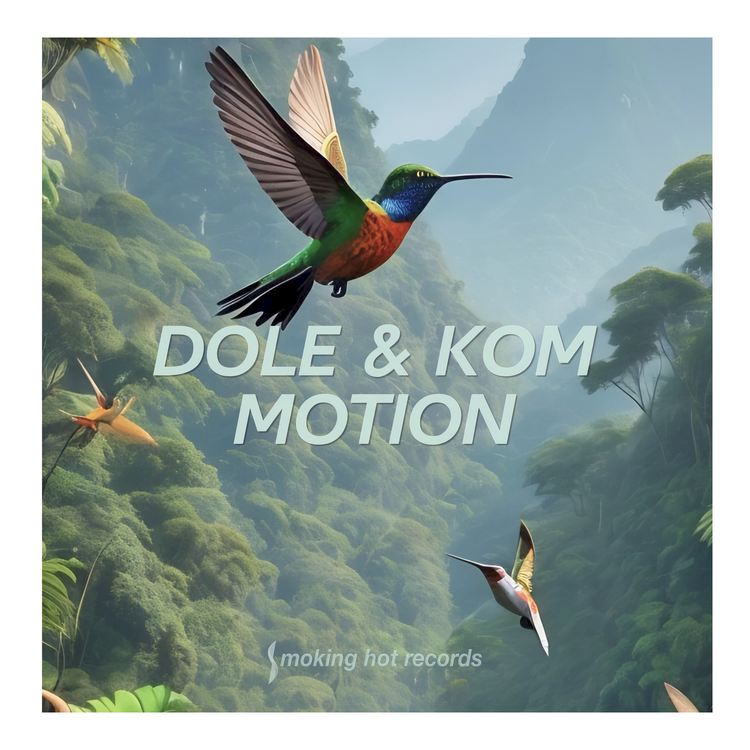 Dole & Kom's avatar image