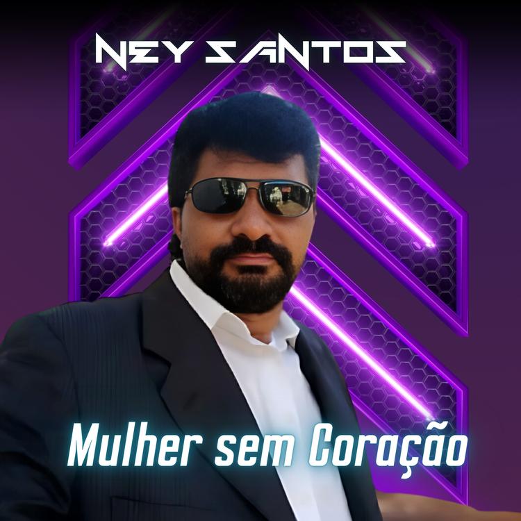 Ney Santos's avatar image