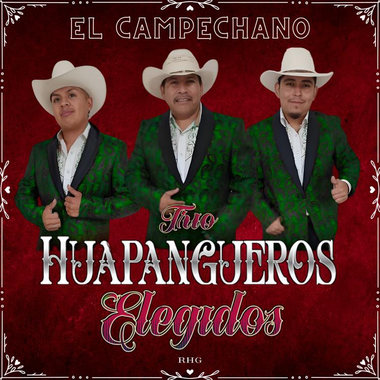 Trio Huapangueros Elegidos's avatar image