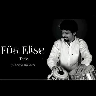 Fur Elise (Tabla Cover)'s cover