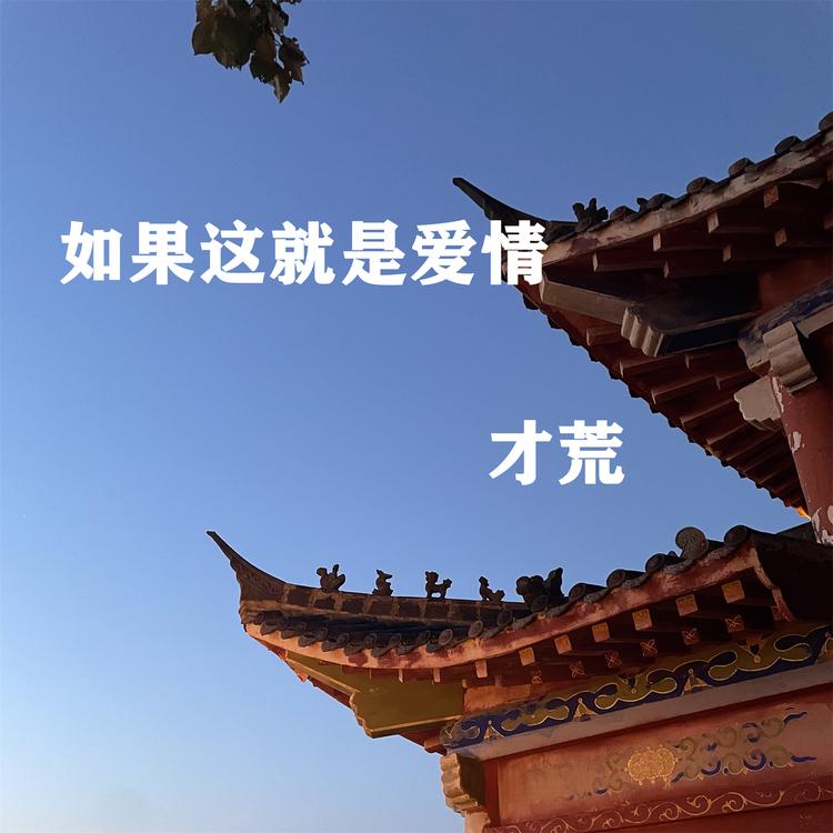 才荒's avatar image