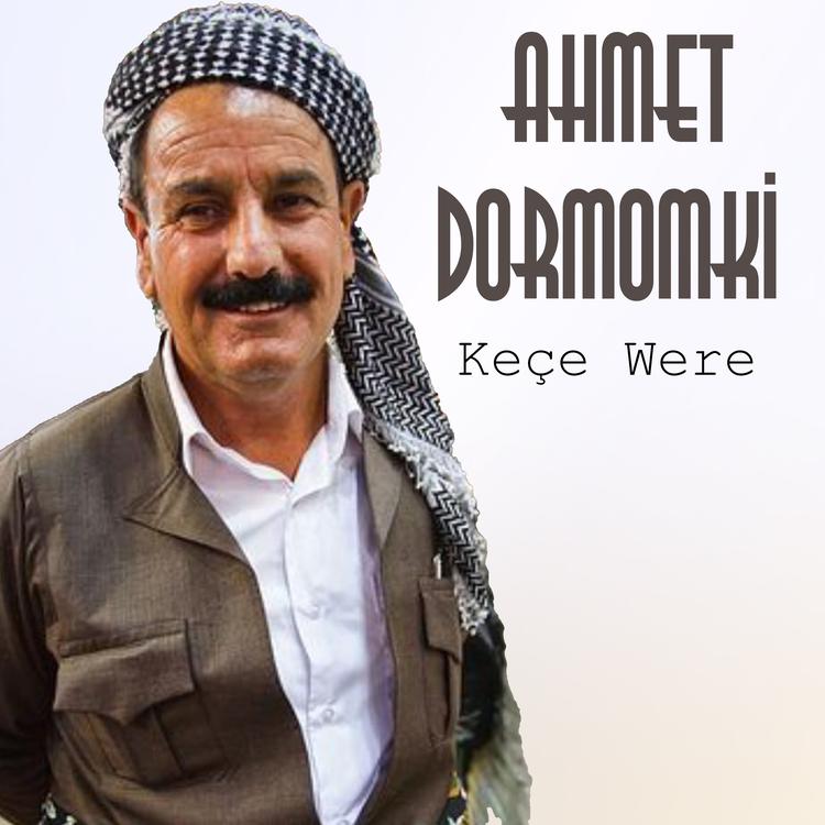 Ahmet Domamki's avatar image