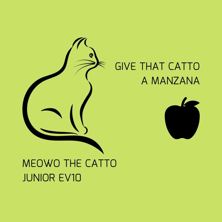 Meowo the Catto's avatar image