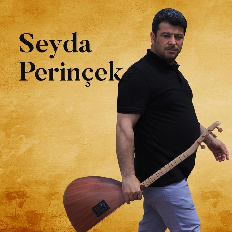 Seyda Perinçek's avatar image