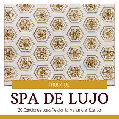 1 Hora de Spa de Lujo - 20 Canciones para Relajar la Mente y el Cuerpo's cover