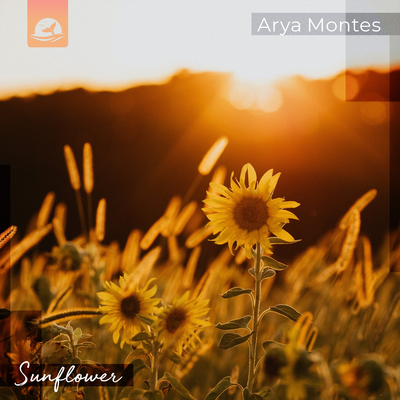 Sunflower By Arya Montes's cover