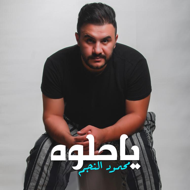 Mahmoud Al Najm's avatar image