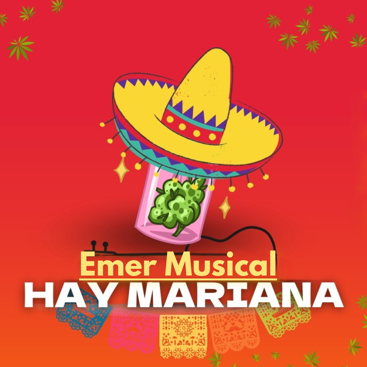 Emer Musical's avatar image