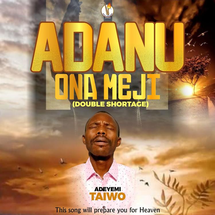 Adeyemi Taiwo's avatar image
