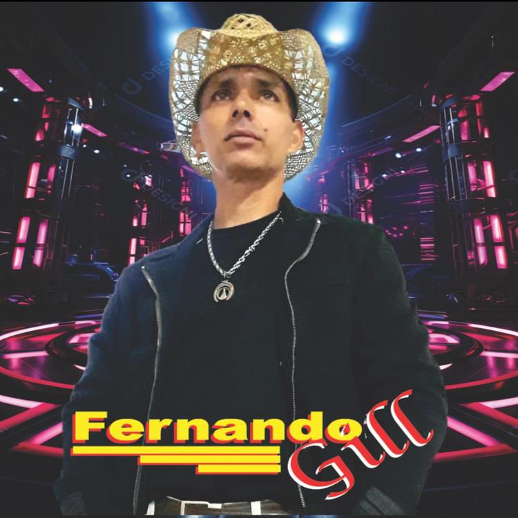 Fernando Gill's avatar image