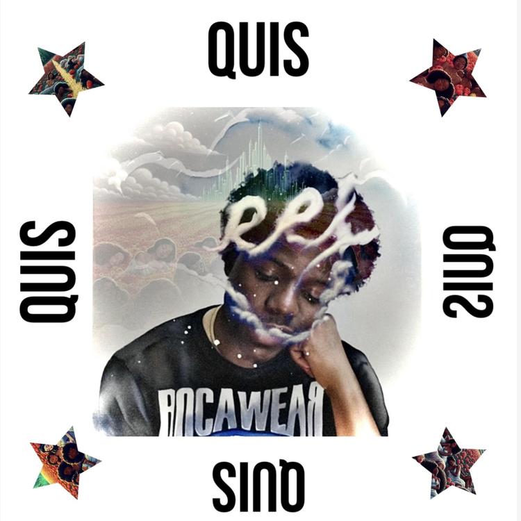 Quis's avatar image