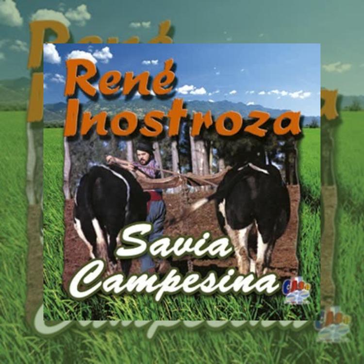 René Inostroza's avatar image