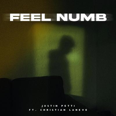 Feel Numb's cover