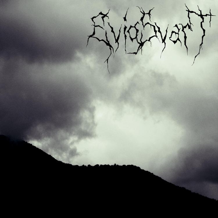 EVIGSVART's avatar image