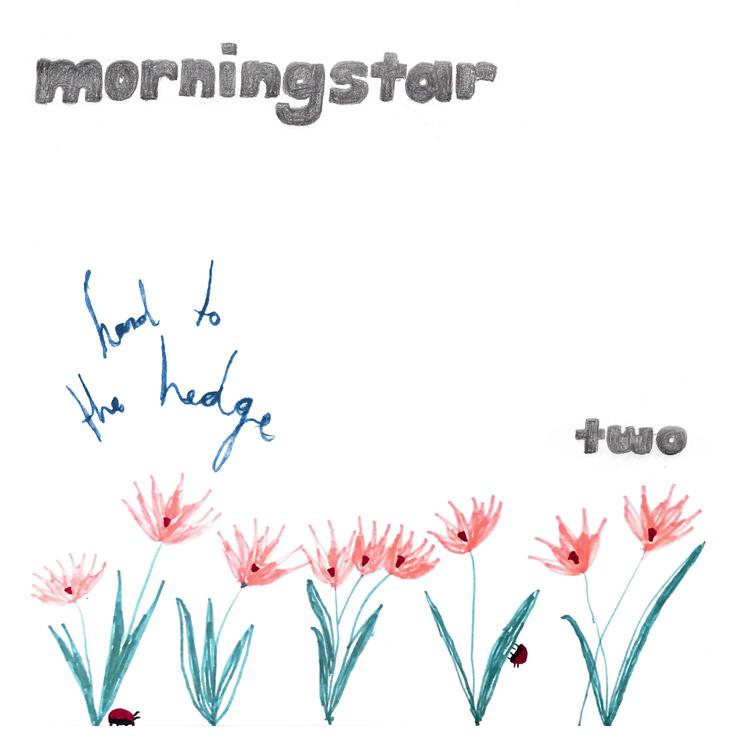 The Morning Star's avatar image