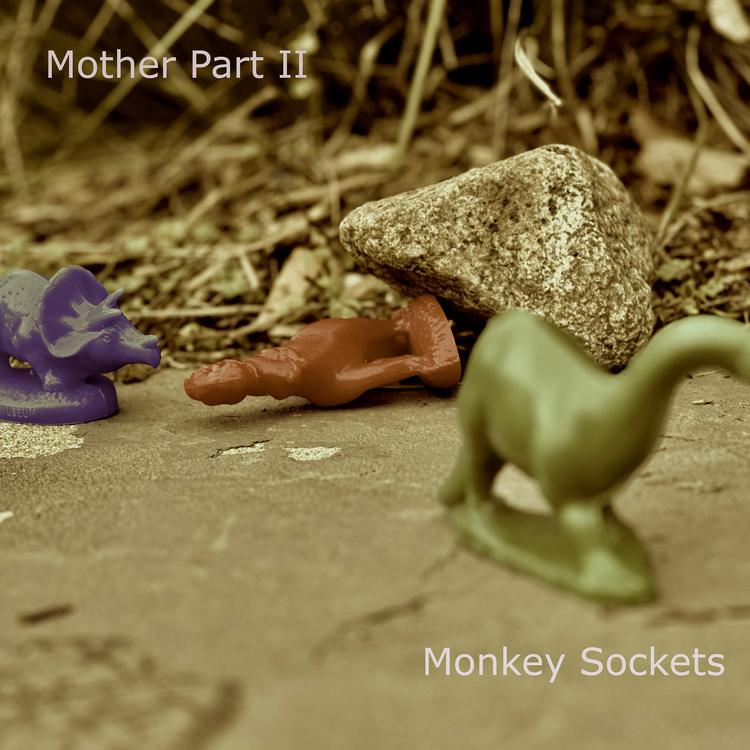 Monkey Sockets's avatar image