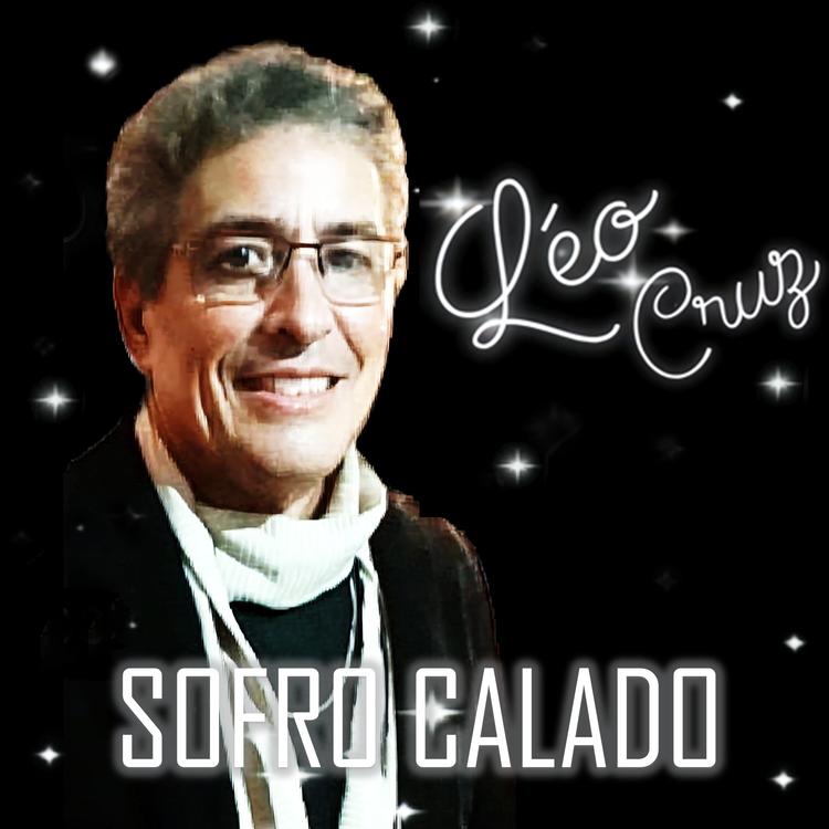 Léo Cruz's avatar image