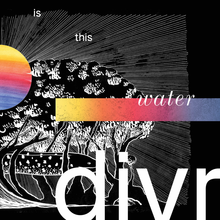 DIVR's avatar image