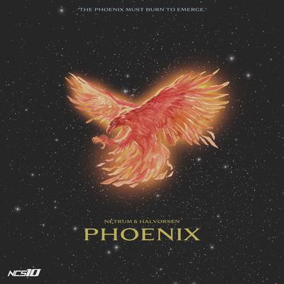 Phoenix By Netrum, Halvorsen's cover