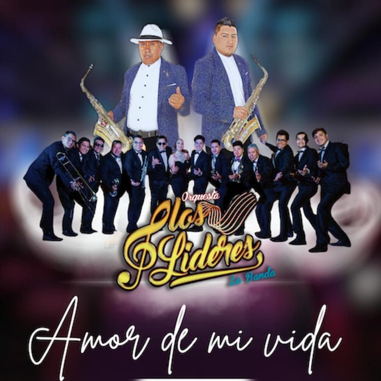 Los Líderes La Banda's avatar image